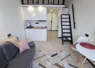 Продается квартира студия, 24 м2, Санкт-Петербург, Курляндская улица, 32, метро Фрунзенская