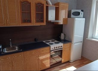 1-ком. квартира в аренду, 40 м2, Челябинск, улица Профессора Благих, 61, Курчатовский район