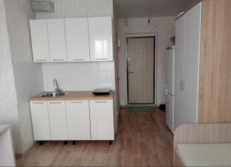 Сдам в аренду квартиру студию, 22 м2, Новосибирск, улица Титова, 257, Ленинский район