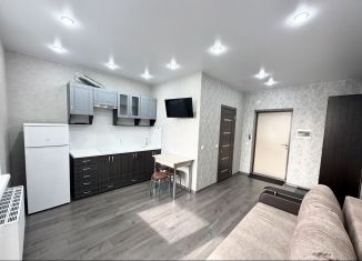 Сдача в аренду квартиры студии, 25 м2, Сыктывкар, улица Карла Маркса, 119