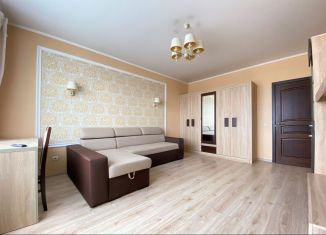 Сдача в аренду 1-ком. квартиры, 46 м2, Калининград, улица Маршала Баграмяна, 14, Ленинградский район