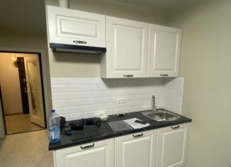 Сдам в аренду квартиру студию, 23 м2, деревня Глухово, Романовская улица, 5, ЖК Новая Рига