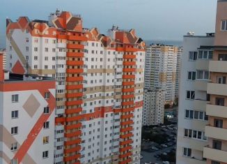 Продажа квартиры студии, 24 м2, посёлок Шушары, Новгородский проспект, 4