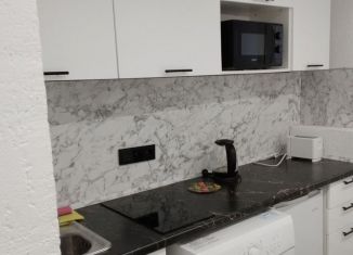 Квартира на продажу студия, 27.4 м2, Санкт-Петербург, Лесной проспект, 3, метро Площадь Ленина