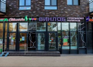 Продается помещение свободного назначения, 85 м2, Санкт-Петербург, 2-я Советская улица, 10Б, Центральный район