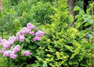 Продается участок, 12 сот., деревня Марьевка