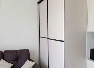 Сдача в аренду квартиры студии, 30 м2, Ростов-на-Дону, улица Ерёменко, 114/1с1, ЖК Пятый Элемент