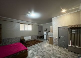 Продается однокомнатная квартира, 41 м2, Нальчик, улица Толстого, 180, район Затишье