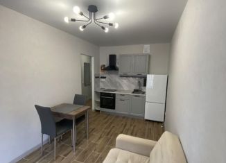 Сдача в аренду однокомнатной квартиры, 30 м2, Мурино, Графская улица, 6к4