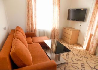 Сдается 1-ком. квартира, 31.3 м2, Санкт-Петербург, проспект Науки, 12к1, Калининский район
