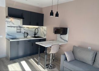 Сдаю в аренду квартиру студию, 20.4 м2, Мурино, Графская улица, 6к4