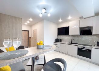 Продается квартира свободная планировка, 30.4 м2, Сочи, Полтавская улица, 54, микрорайон Мамайка