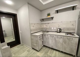 Сдача в аренду однокомнатной квартиры, 25 м2, Бийск, улица Декабристов, 25