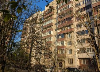 2-комнатная квартира на продажу, 51 м2, Санкт-Петербург, улица Щербакова, 3к1