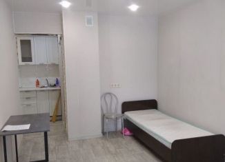 Продаю квартиру студию, 25.3 м2, рабочий поселок Маркова, улица Академика Герасимова, 5