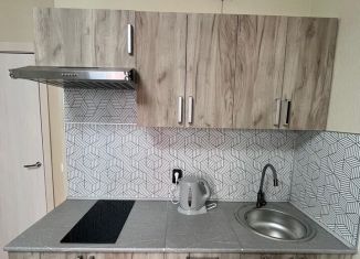 Сдается квартира студия, 26.4 м2, Мурино, улица Шоссе в Лаврики, 78к3