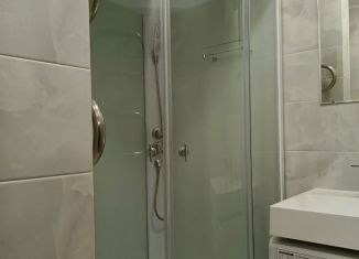 3-ком. квартира в аренду, 54 м2, Санкт-Петербург, Малая Монетная улица, 7, Петроградский район