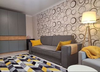 Сдам в аренду 1-комнатную квартиру, 33 м2, Тула, улица Седова, 14