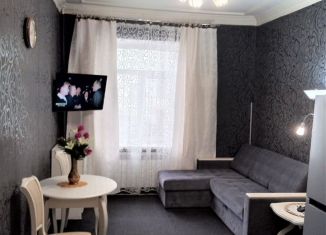 Аренда однокомнатной квартиры, 30 м2, Санкт-Петербург, Тверская улица, 16, муниципальный округ Смольнинское