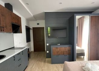 Продажа квартиры студии, 22 м2, Сочи, переулок Рахманинова, 23/2, микрорайон Новый Сочи