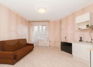 Продажа квартиры студии, 24.8 м2, Мурино, Привокзальная площадь, 1Ак2