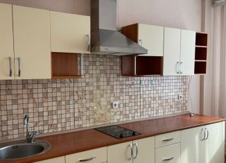 Однокомнатная квартира в аренду, 35 м2, Новосибирск, улица Дмитрия Шмонина, 10, Кировский район