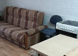 Сдаю в аренду квартиру студию, 24 м2, Новосибирск, улица Виктора Уса, 9, метро Площадь Маркса
