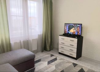 Сдача в аренду 1-ком. квартиры, 38 м2, Новороссийск, улица Котанова, 1к1