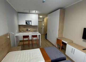Сдаю квартиру студию, 22.1 м2, посёлок Парголово, Толубеевский проезд, 8к2