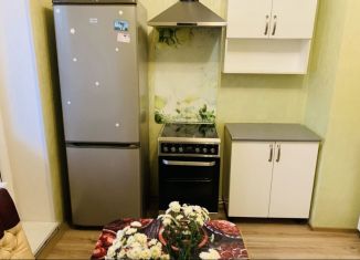 Продаю 1-ком. квартиру, 32.9 м2, городской посёлок Янино-1, Голландская улица, 6