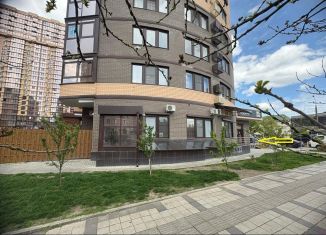 Продаю помещение свободного назначения, 58.2 м2, Краснодар, Гаражная улица, 87к1, Фестивальный микрорайон