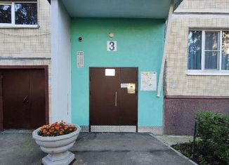 Продается двухкомнатная квартира, 50 м2, Санкт-Петербург, Шлиссельбургский проспект, 39к1, Невский район