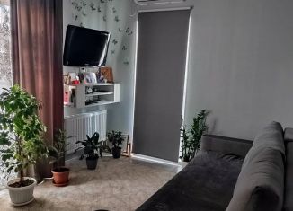 Сдается 1-комнатная квартира, 44 м2, Сочи, переулок Чехова, 6/3, микрорайон Донская