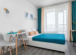 Сдаю в аренду квартиру студию, 25 м2, посёлок Шушары, Колпинское шоссе, 127