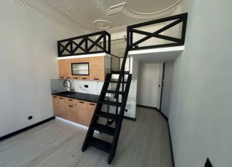 Продается квартира студия, 23 м2, Санкт-Петербург, Кирочная улица, 23