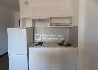 Квартира в аренду студия, 24.3 м2, Санкт-Петербург, проспект Ветеранов, 169к1, Красносельский район
