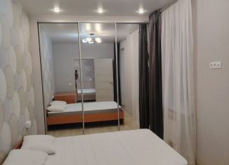 Сдаю в аренду двухкомнатную квартиру, 45 м2, Санкт-Петербург, Московское шоссе, 44к5, Московский район