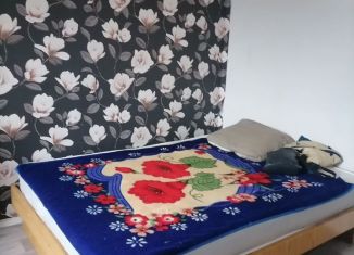 Двухкомнатная квартира в аренду, 44 м2, Краснодарский край, Ставропольская улица, 258