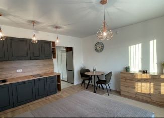 Квартира в аренду студия, 24 м2, Люберцы, улица Лётчика Ларюшина, 4/1