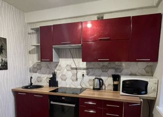 Сдаю в аренду 1-комнатную квартиру, 47 м2, деревня Новое Девяткино, деревня Новое Девяткино, 31