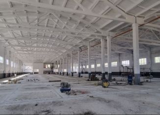 Сдам в аренду производство, 3000 м2, Пензенская область, Олимпийская улица, 36