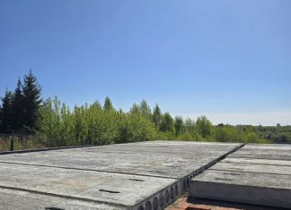 Продаю дом, 250 м2, деревня Береговая, улица Абдулова