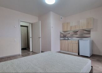 Сдается квартира студия, 24 м2, Челябинск, улица Профессора Благих, 85