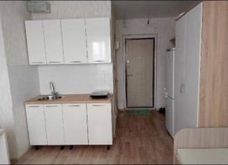 Сдаю квартиру студию, 22 м2, Новосибирск, улица Титова, 257, Ленинский район