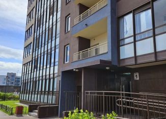 1-комнатная квартира на продажу, 31.9 м2, Санкт-Петербург, проспект Ветеранов, 169к1, муниципальный округ Сосновая Поляна