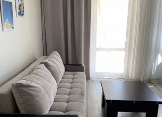 Сдаю квартиру студию, 27 м2, Ростов-на-Дону, улица Ерёменко, 108с2, ЖК Пятый Элемент