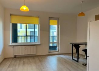 Сдается в аренду квартира студия, 25 м2, Санкт-Петербург, Ультрамариновая улица, 8, Невский район