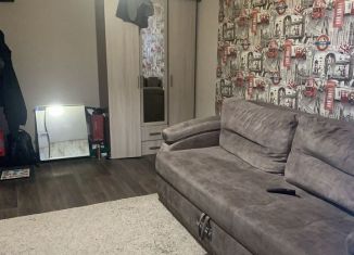 Продаю однокомнатную квартиру, 27.7 м2, Агрыз, переулок Максима Горького, 2