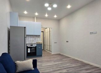 Сдаю в аренду квартиру студию, 27 м2, деревня Крёкшино, улица Медовая Долина, 2