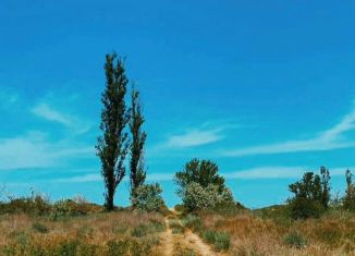 Продажа земельного участка, 911 сот., поселок Кучугуры